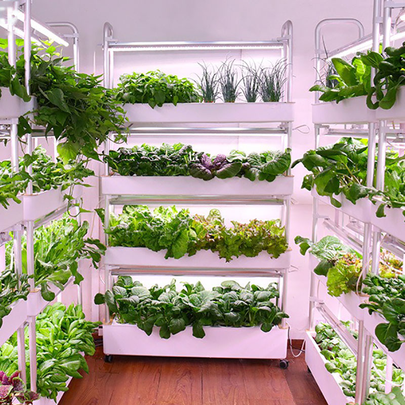 Smart Garden Box - System uprawy hydroponiki Pionowy Inteligentny Uprawa