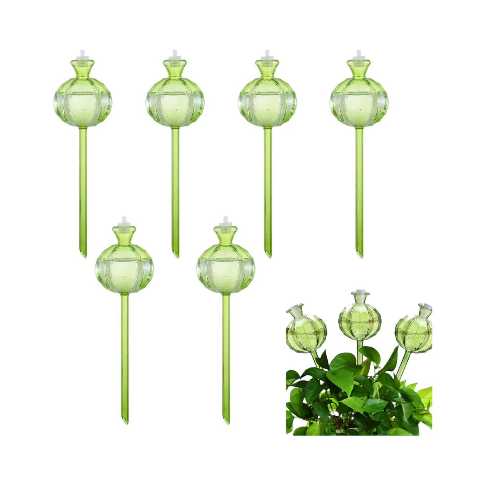 Plant Watering Globe - Automatyczne kule do podlewania roślin, kolce