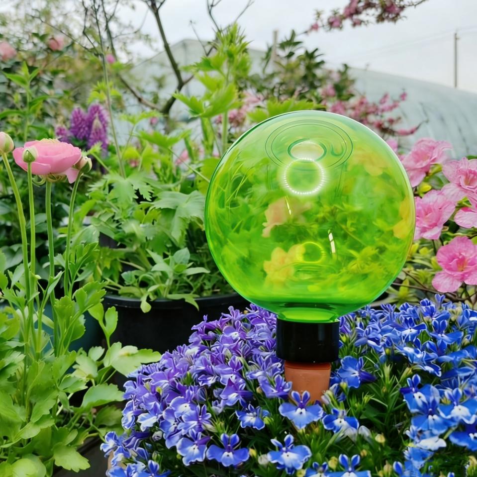 Plant Watering Globe - 3 szt. Duże plastikowe kule do