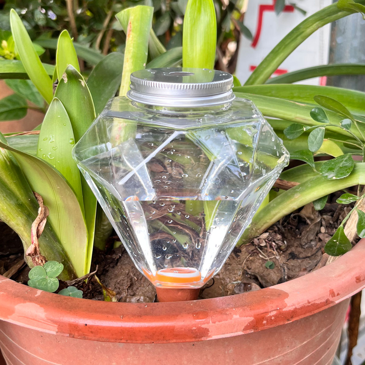 Plant Watering Globe - 1 szt. Urocza plastikowa maszyna do