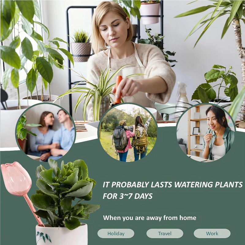 Różowe kulki do podlewania roś – Plant Watering Globe recenzja i cena
