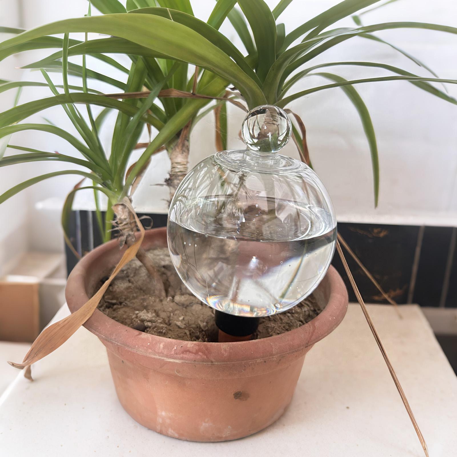 Kule do nawadniania roślin 4 s – Plant Watering Globe recenzja i cena