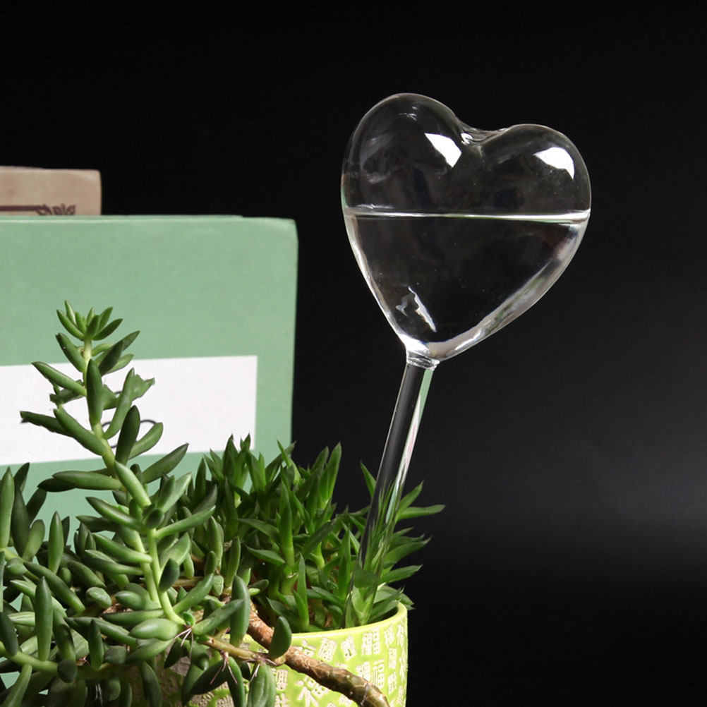 3 szt. Szklane globy samozrasz – Plant Watering Globe recenzja i cena