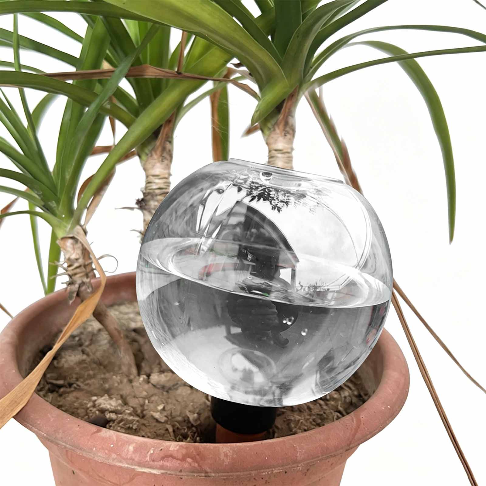 1/4 szt. Kulki do podlewania r – Plant Watering Globe recenzja i cena