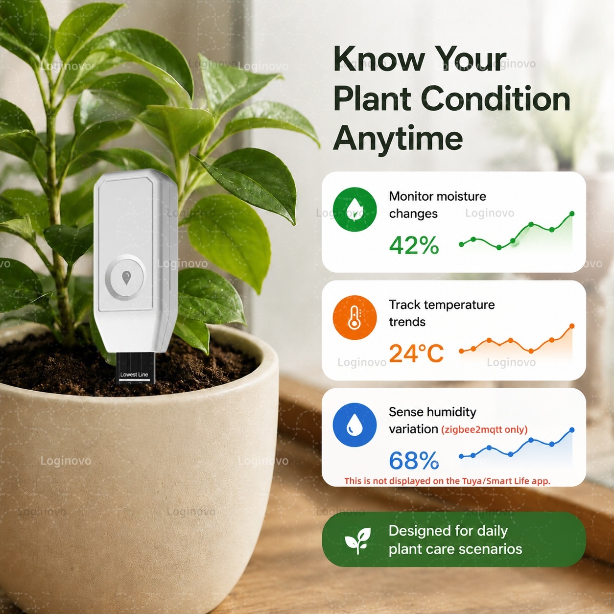 Czujnik gleby Zigbee, detektor – Smart Garden Home Assistant recenzja i cena