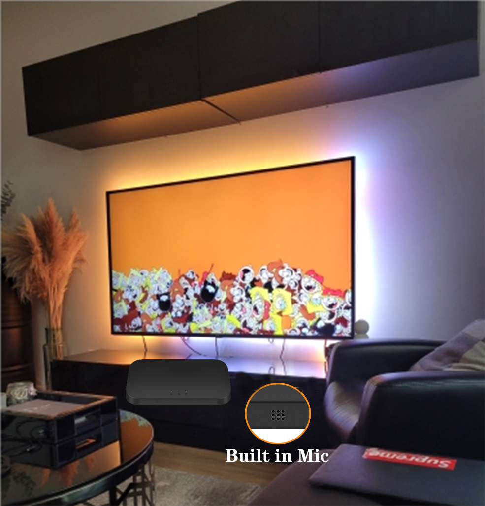 Smart Ambient TV Led Backlight – Smart Garden Light Controller recenzja i cena