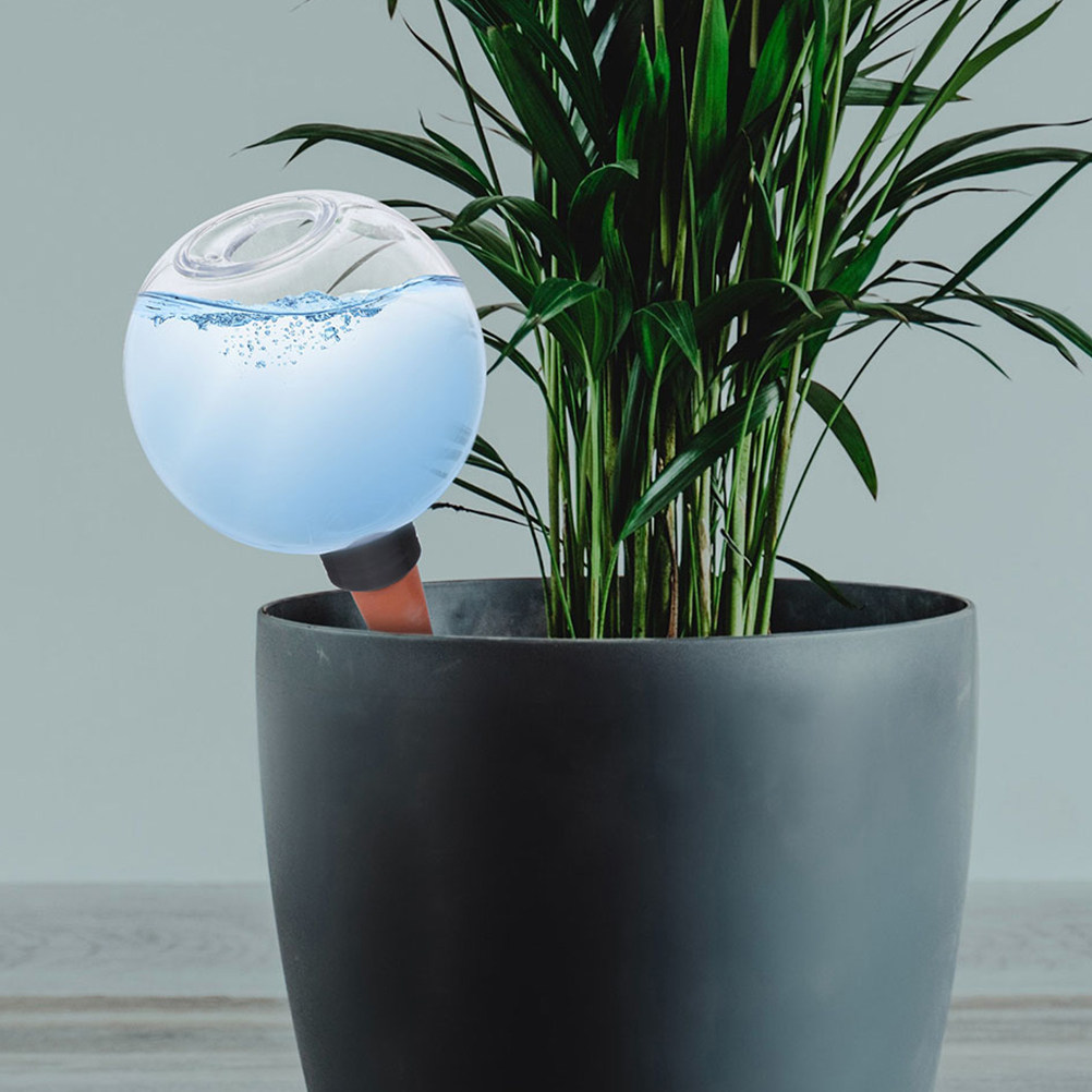 3 szt. automatycznych nawadzac – Plant Watering Globe recenzja i cena