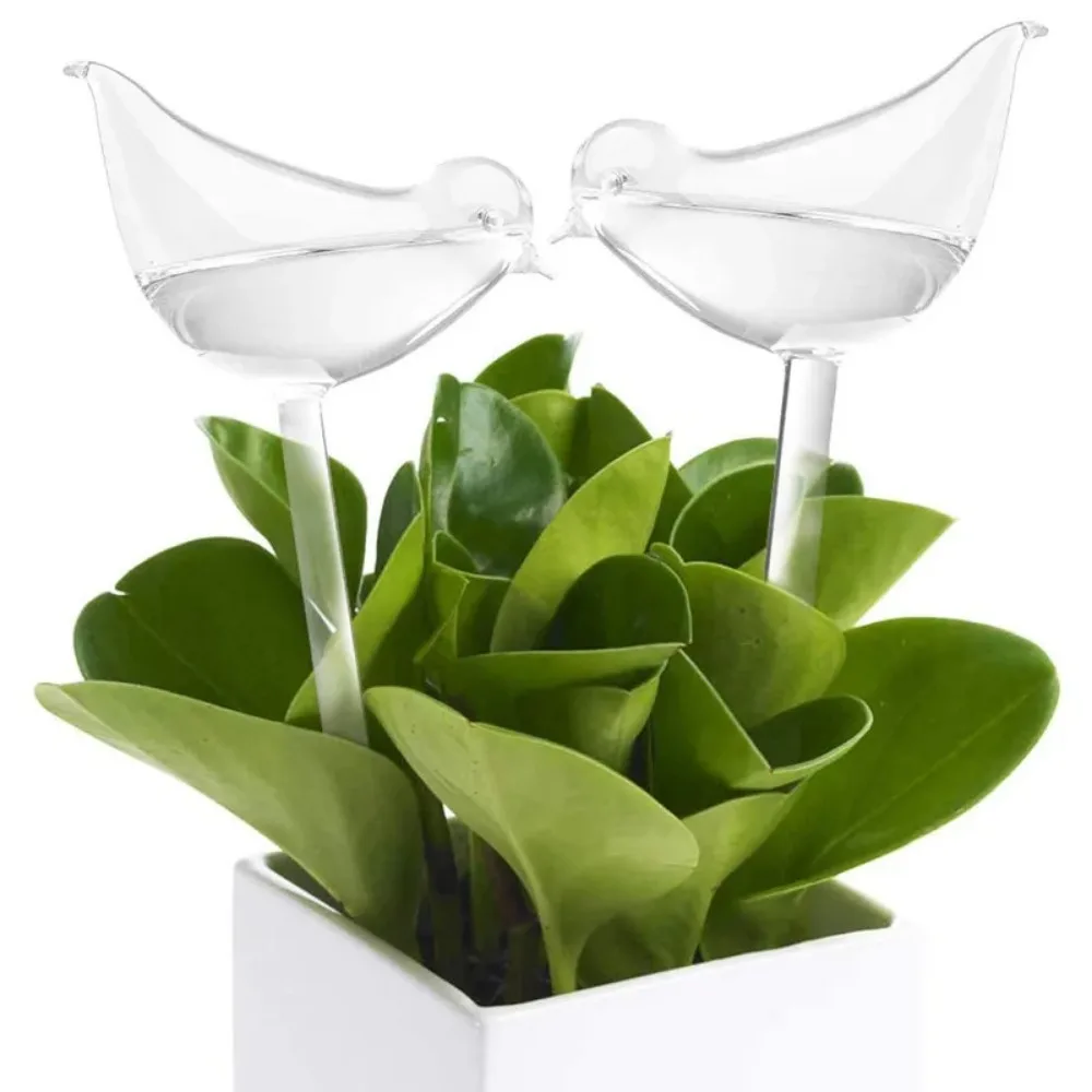 Automatyczne urządzenie do pod – Plant Watering Globe recenzja i cena