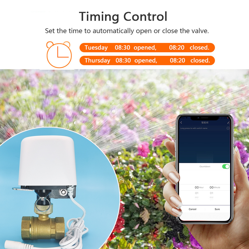 Inteligentny zawór wodny Smart – Smart Garden Home Assistant recenzja i cena