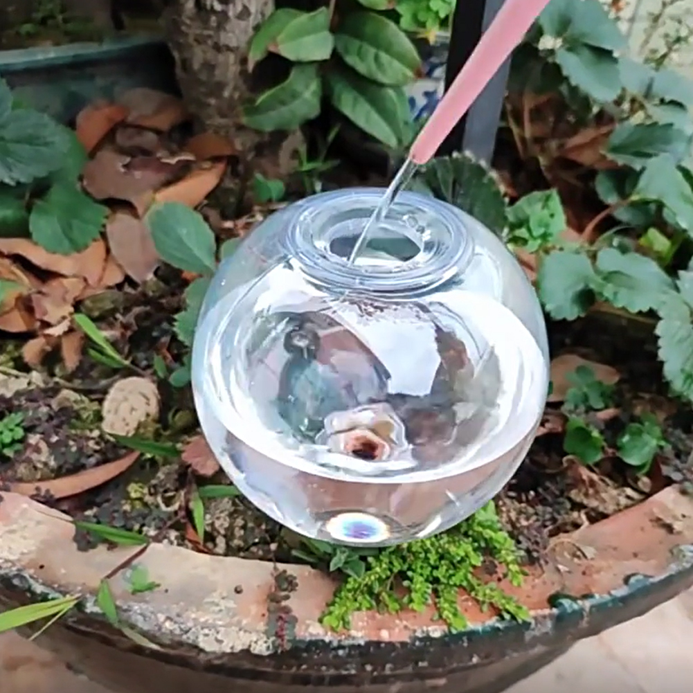 Kule samozraszające 500 ml, sy – Plant Watering Globe recenzja i cena