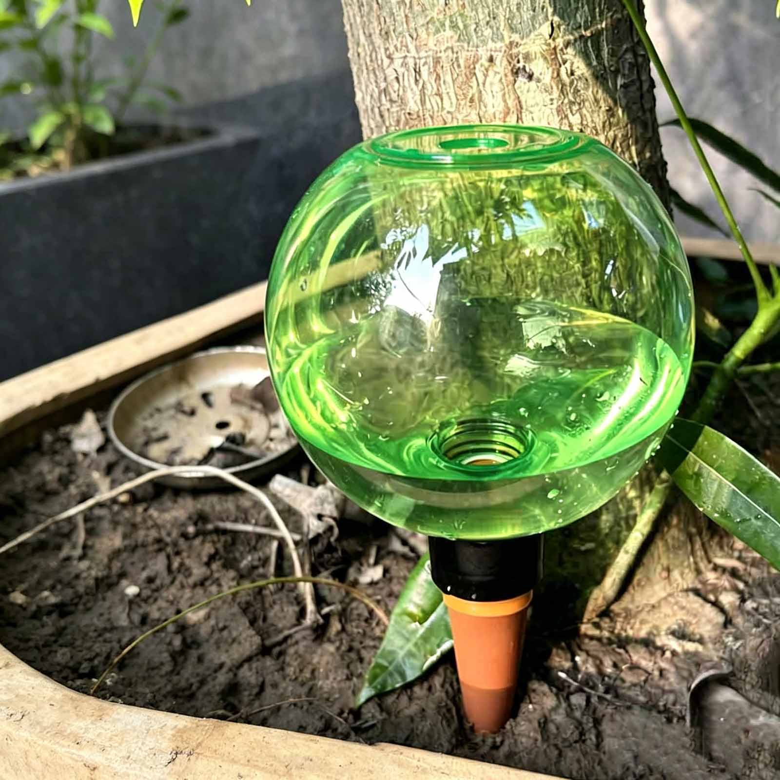 1/4 szt. Automatyczne kule do  – Plant Watering Globe recenzja i cena
