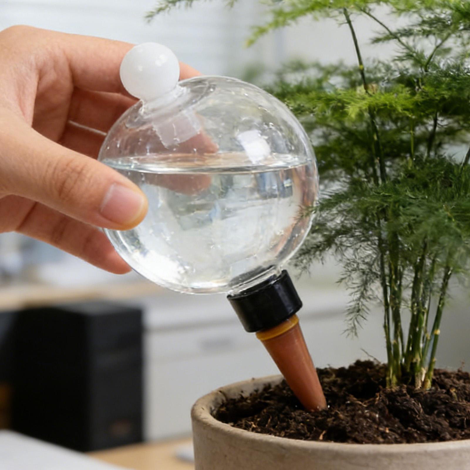4 szt. Plastikowe automatyczne – Plant Watering Globe recenzja i cena