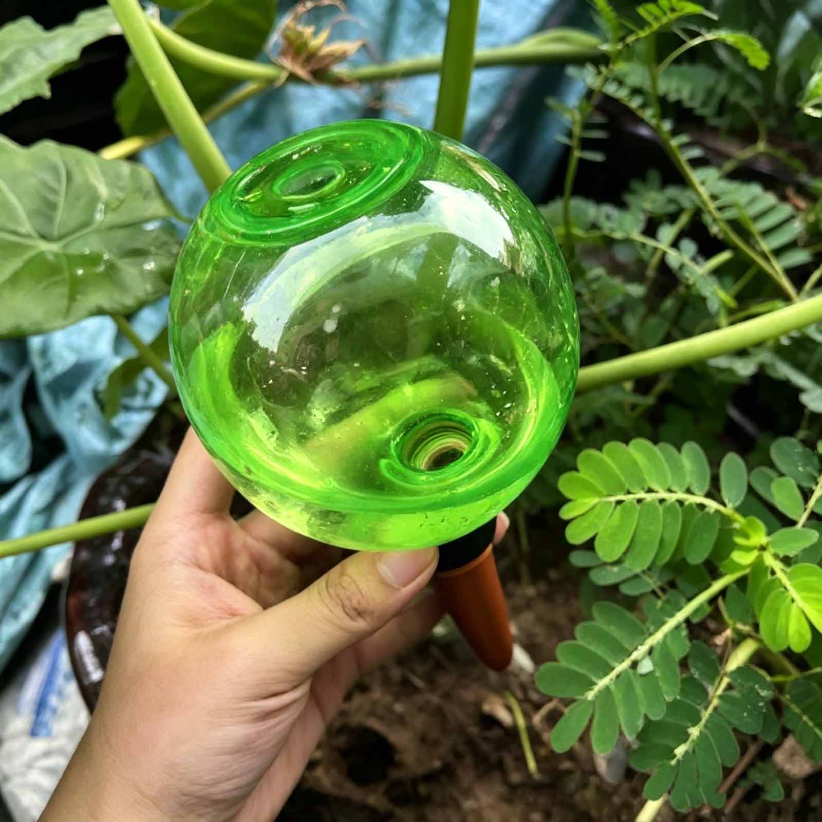 1/4 szt. Samonawadniające się  – Plant Watering Globe recenzja i cena