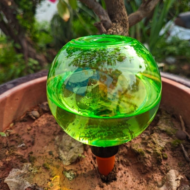 3 szt. Duże plastikowe kule do – Plant Watering Globe recenzja i cena