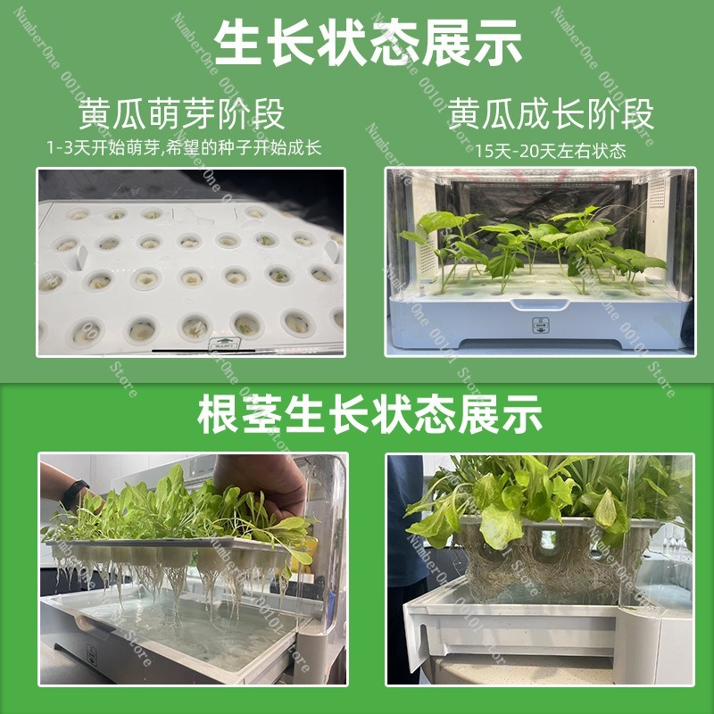 Inteligentny hydroponiczny sys – Smart Garden Box recenzja i cena
