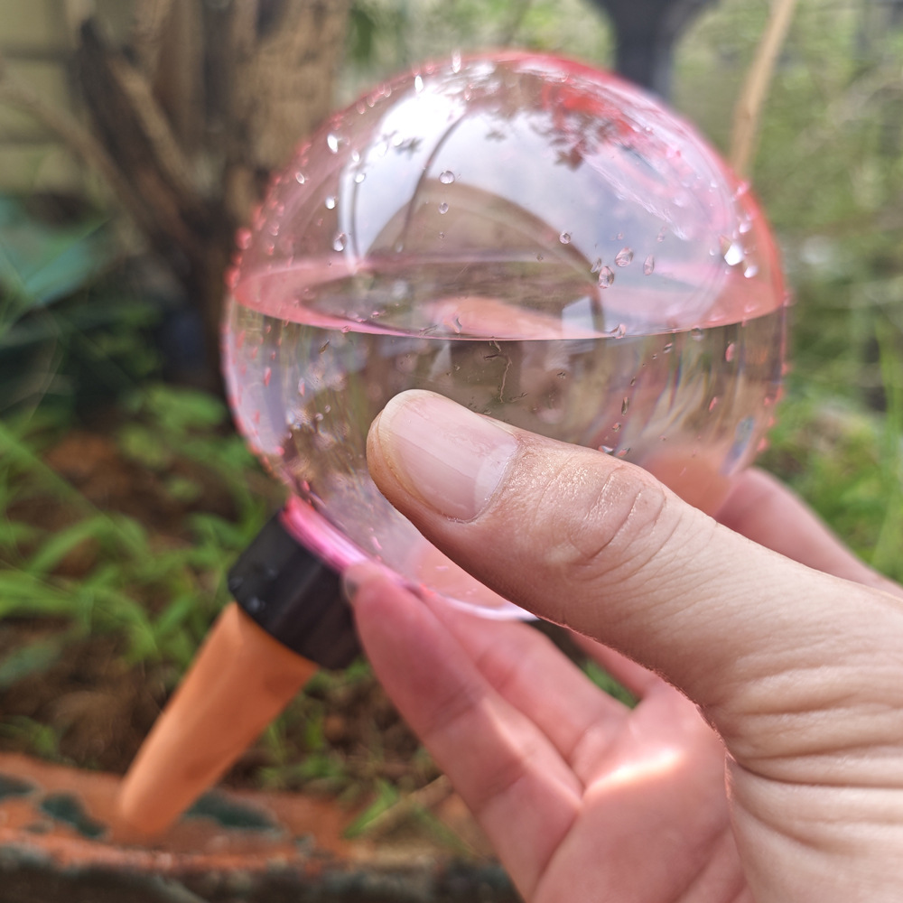 1/4 szt. Samonawadniające się  – Plant Watering Globe recenzja i cena