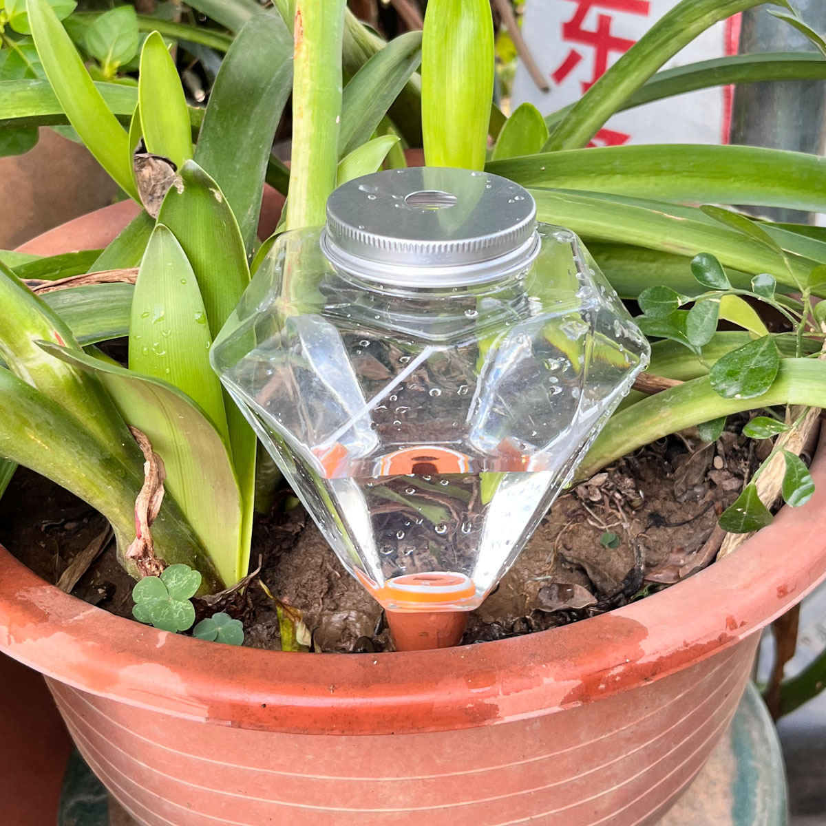 1 szt. Urocza plastikowa maszy – Plant Watering Globe recenzja i cena