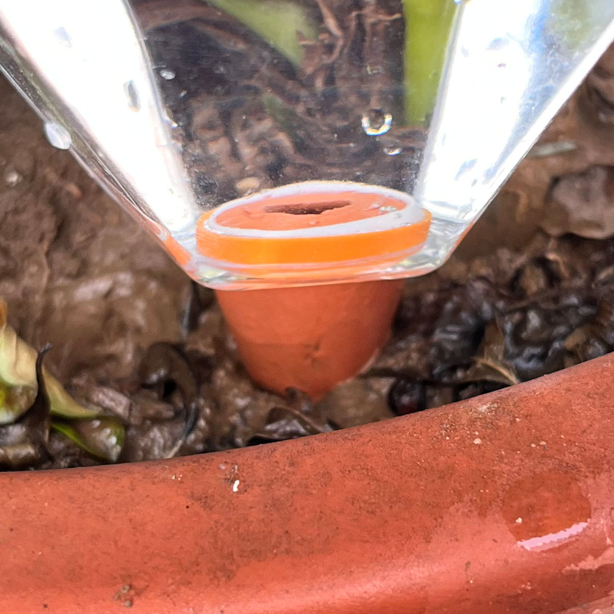 1 szt. Urocza plastikowa maszy – Plant Watering Globe recenzja i cena