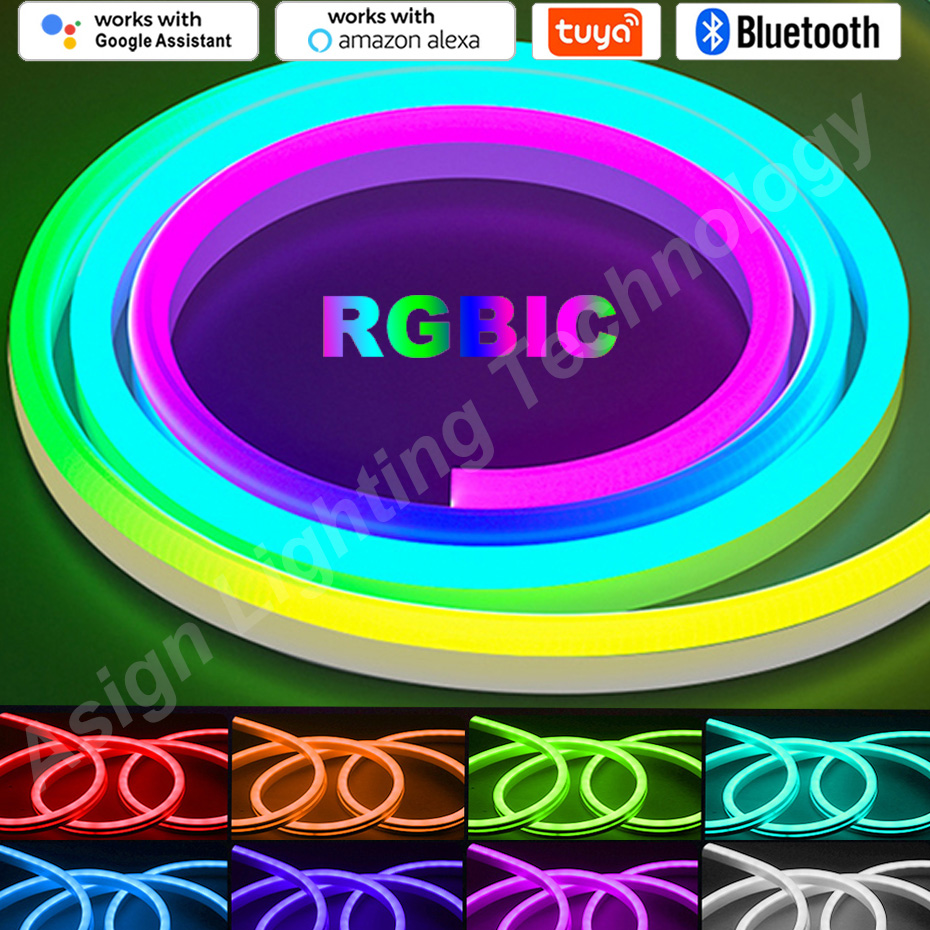RGBIC LED Neon Strip 12V 96LED – Smart Garden Light Controller recenzja i cena