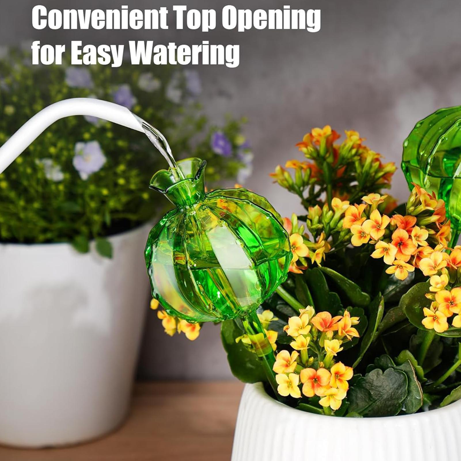 Kule do podlewania roślin, wbi – Plant Watering Globe recenzja i cena